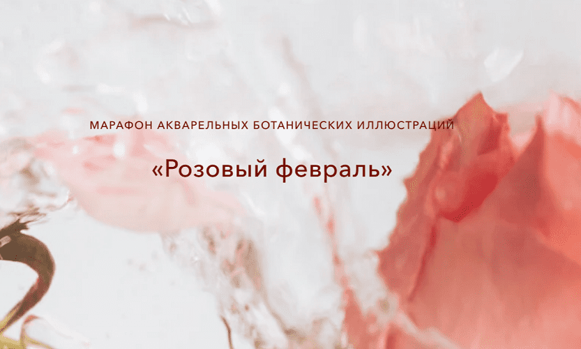 2025-02-11_14-48-40.png