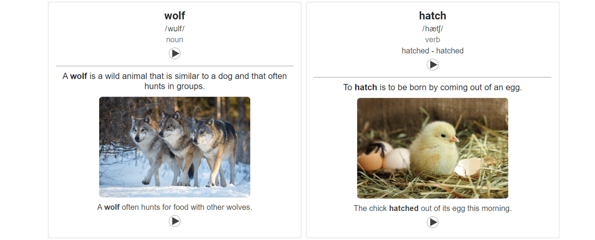 Anki cards.png