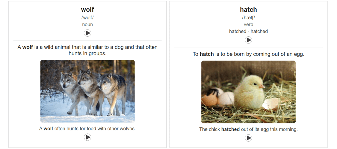 Anki cards.png