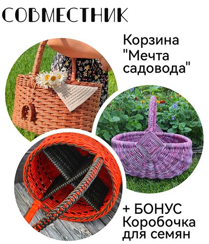  бабенкова.jpg