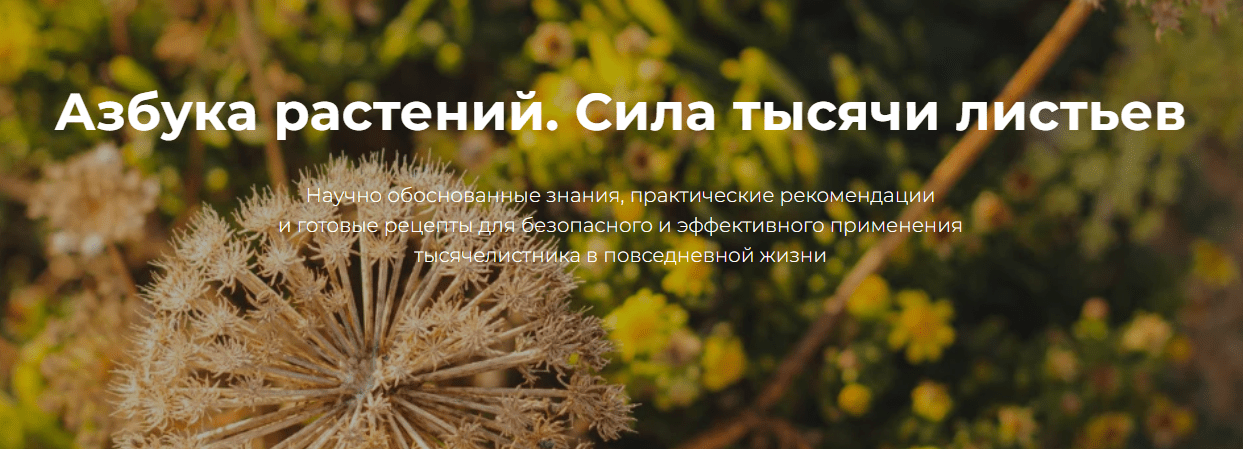  экрана 2025-04-17 185648.png