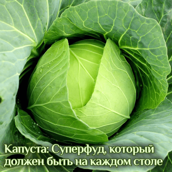  имени.png
