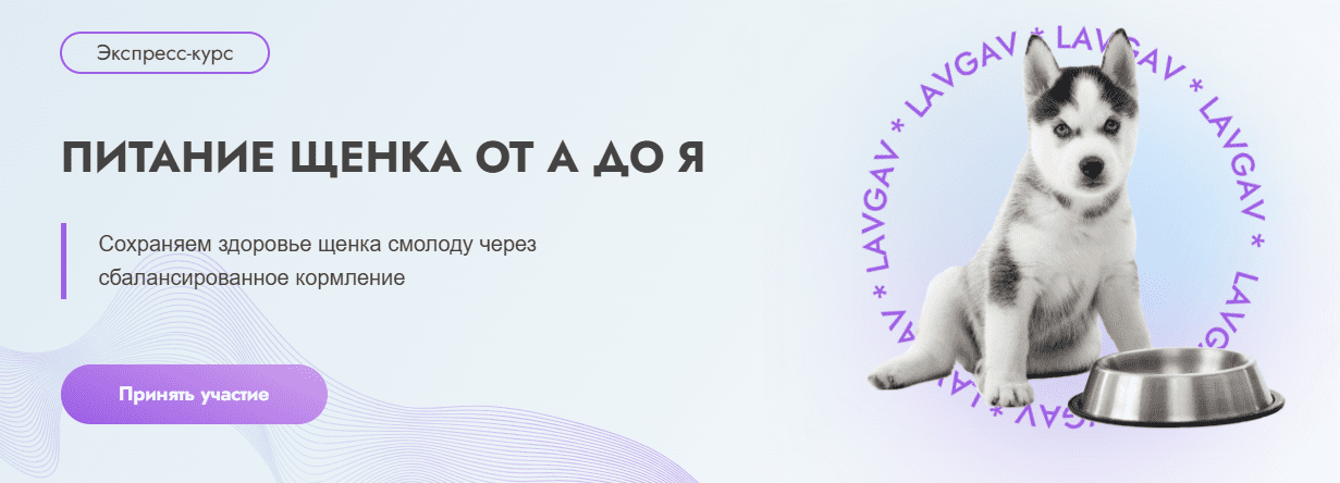  имени.png