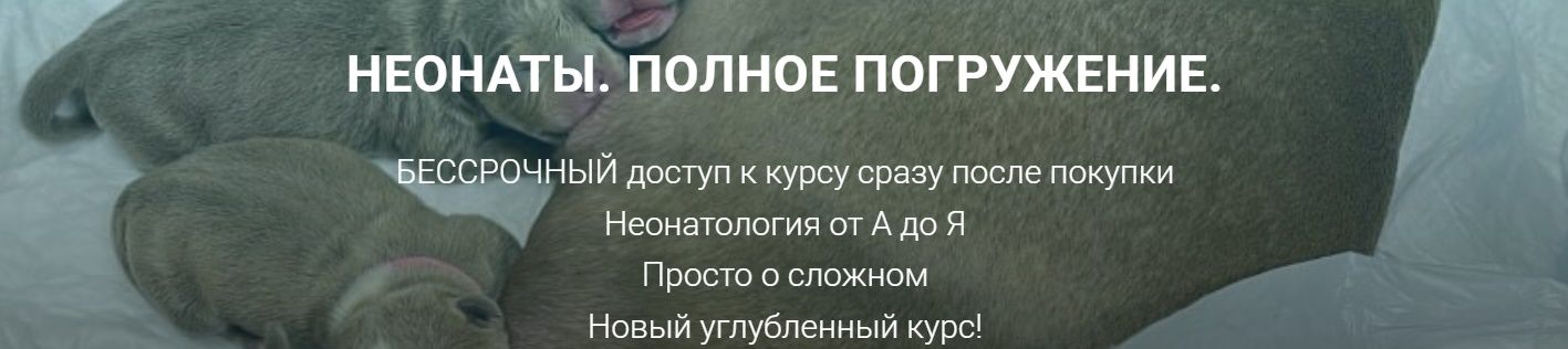 .jpg