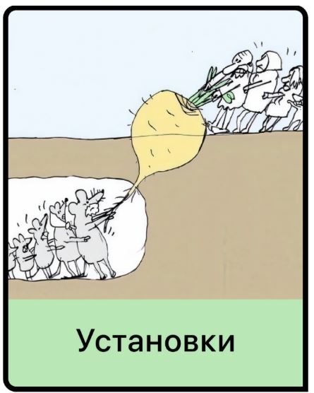 .JPG