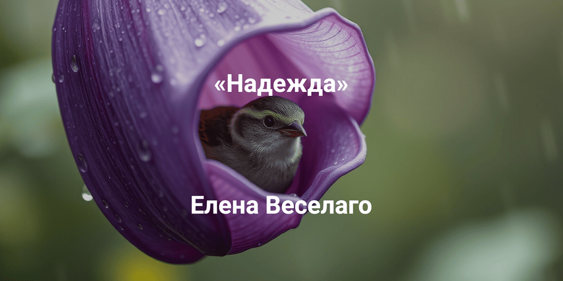 .png