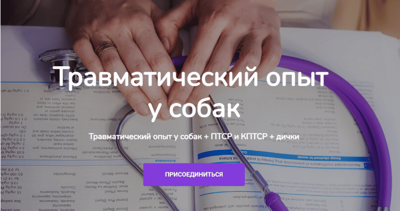 upload_2026-7-28_18-42-11.png